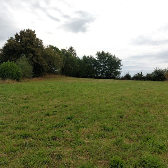  BOUSSAC IMMOBILIER : Terrain | BOUSSAC (23600) | 0 m2 | 29 000 € 