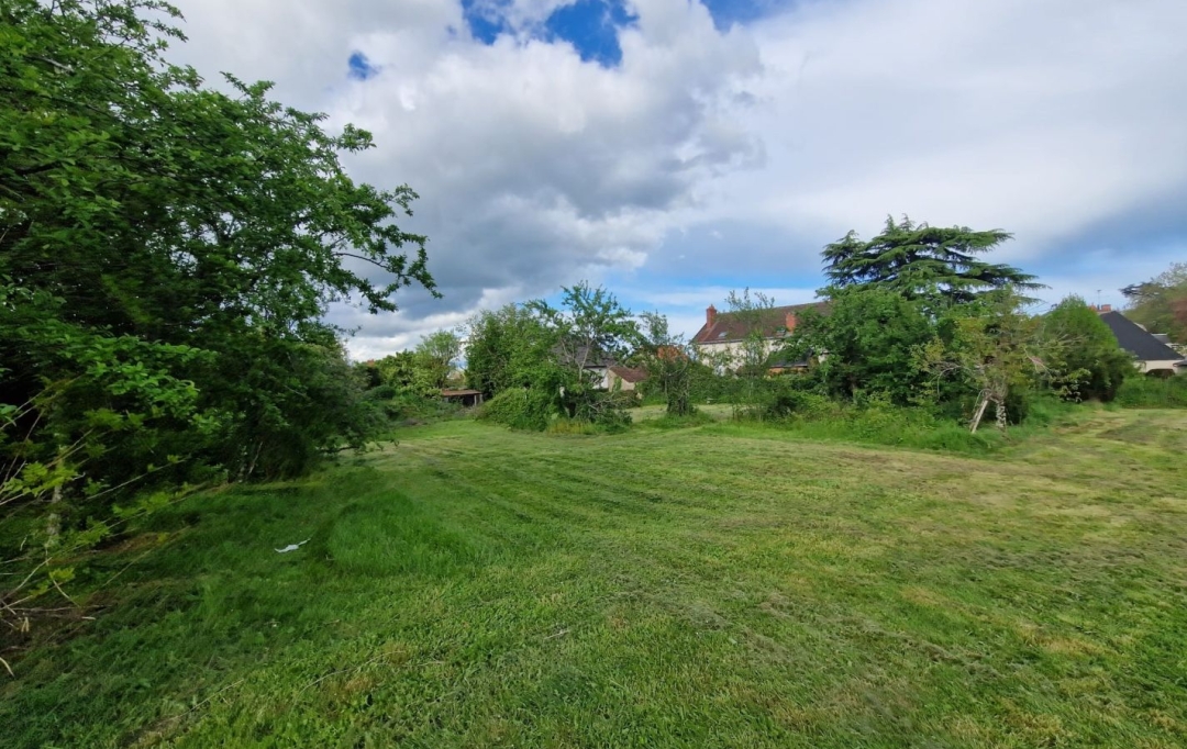 BOUSSAC IMMOBILIER : Terrain | LA CHATRE (36400) | 0 m2 | 64 000 € 