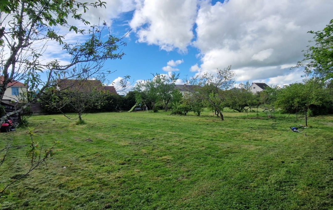 BOUSSAC IMMOBILIER : Terrain | LA CHATRE (36400) | 0 m2 | 64 000 € 